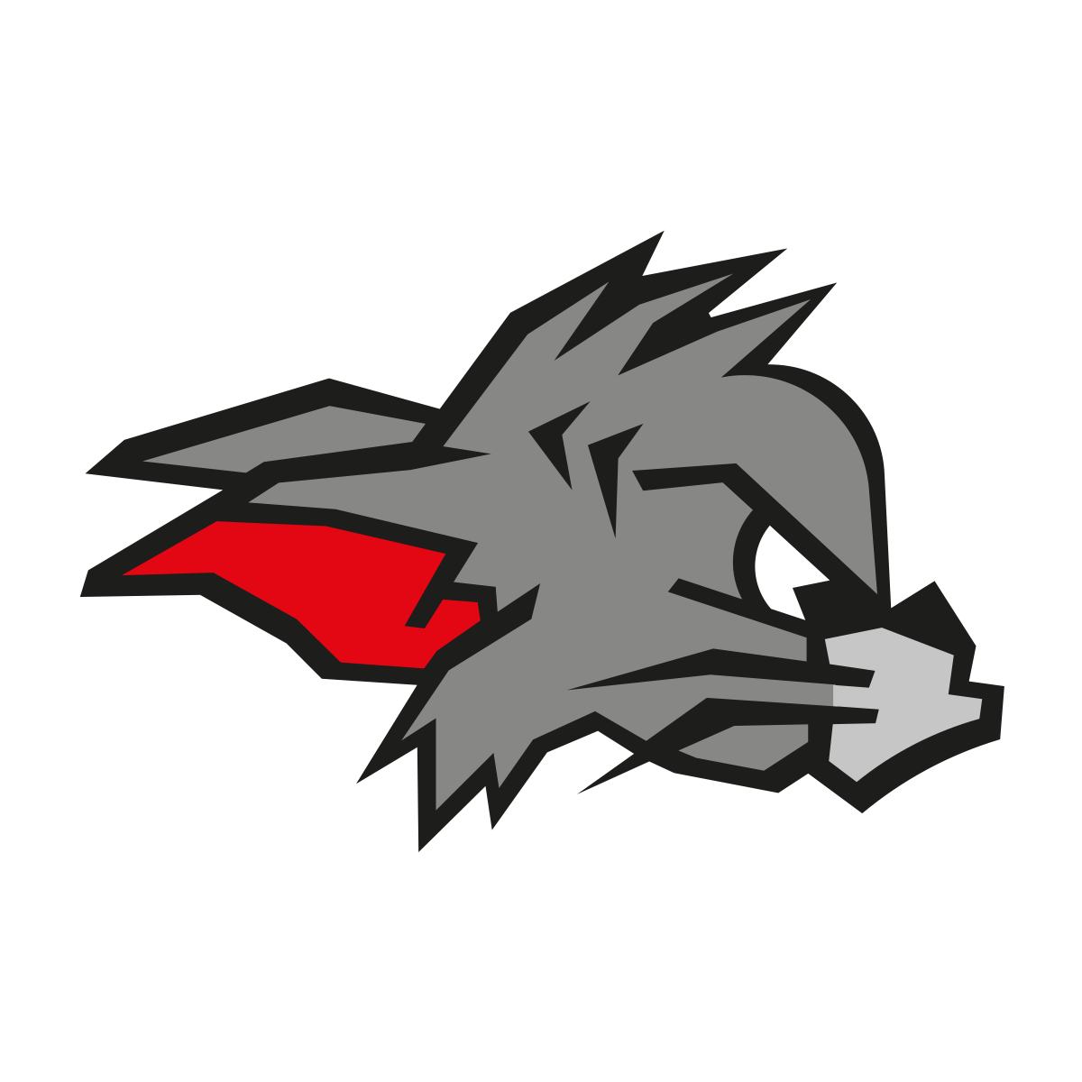 Kirchdorf Wildcats